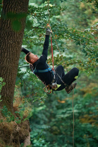 istock Side view, using the rope, hanging. Man is doing climbing in the forest by use of safety equipment 1830507874