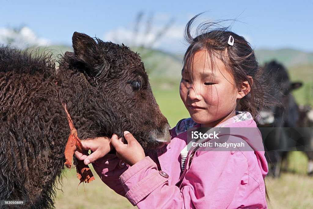 Mongolian jeune fille jouant avec yak - Photo de Bétail libre de droits