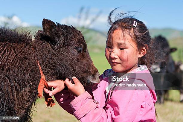 Photo libre de droit de Mongolian Jeune Fille Jouant Avec Yak banque d'images et plus d'images libres de droit de Bétail - Bétail, Enfant, Mongolie indépendante