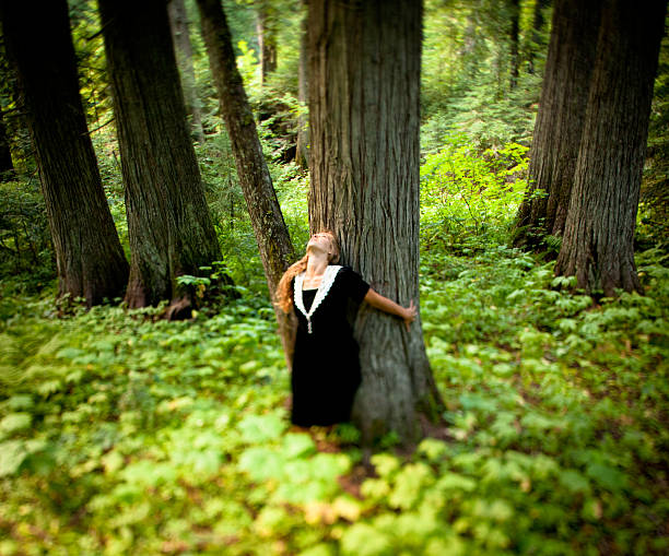 natural amor: uma bela jovem agarrar de cedro - cedar tree tree montana woods imagens e fotografias de stock