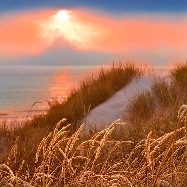 beautiful landscape in Denmark / Jutland