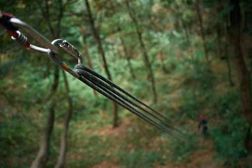 Climbing ropes are set in the green forest. Woman are far on the ground.