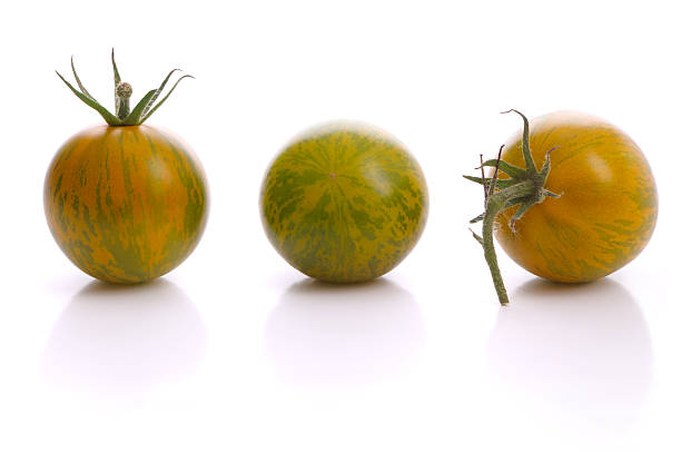 ゼブラ tomatos - heirloom tomato zebra tomato tomato organic ストックフォトと画像