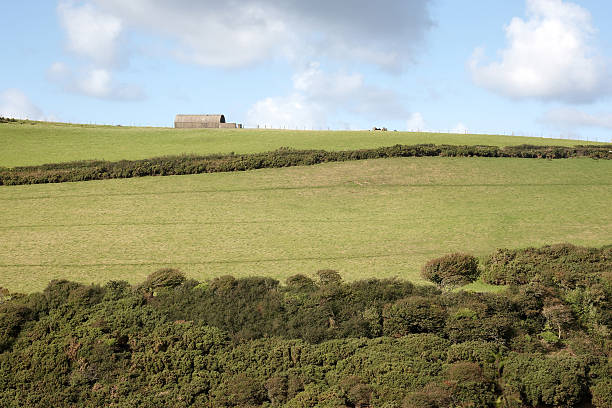 barn en horizon típico welsh hill farm - welsh culture wales field hedge fotografías e imágenes de stock
