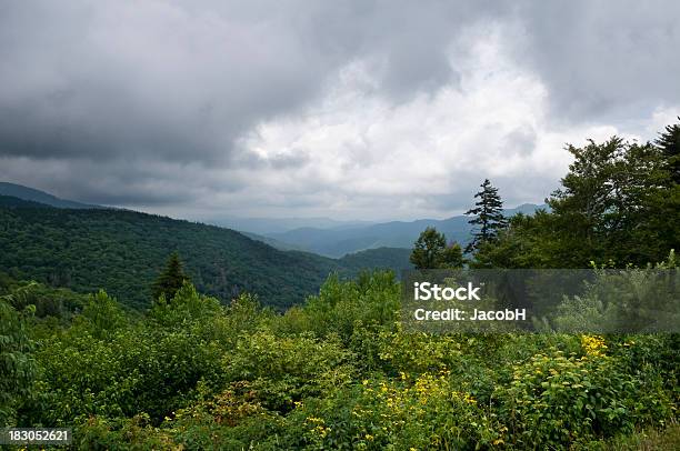 Foto de Montanhas Blue Ridge e mais fotos de stock de Appalachia - Appalachia, Arbusto, Azul