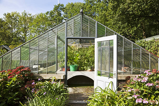 istock Greenhouse # 24 XXXL 183052624