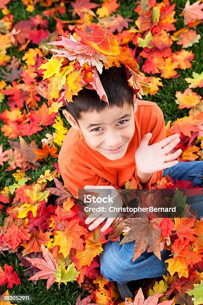 Menino Outono Retrato - Fotografias de stock e mais imagens de 6-7 Anos - 6-7 Anos, Alegria, Ao Ar Livre