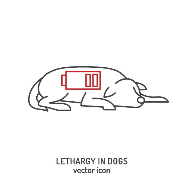 ilustrações de stock, clip art, desenhos animados e ícones de dog fatigue and lethargy icon. apathy in dogs. - animal cute exhaustion technology