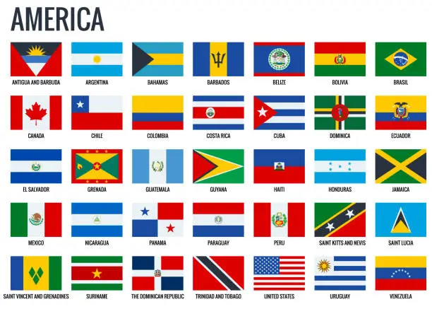 Vector illustration of America flags. All official national flags of the America