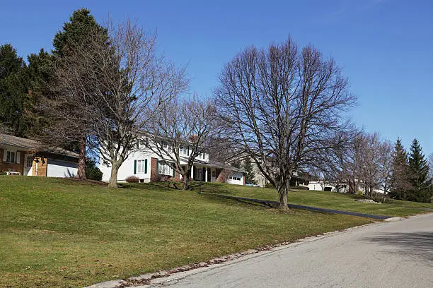 Uphill view of several suburban residential neighborhood houses in very early spring. Debris from past autumn - hidden under snow all winter - is now visible on a sunny March day. 
