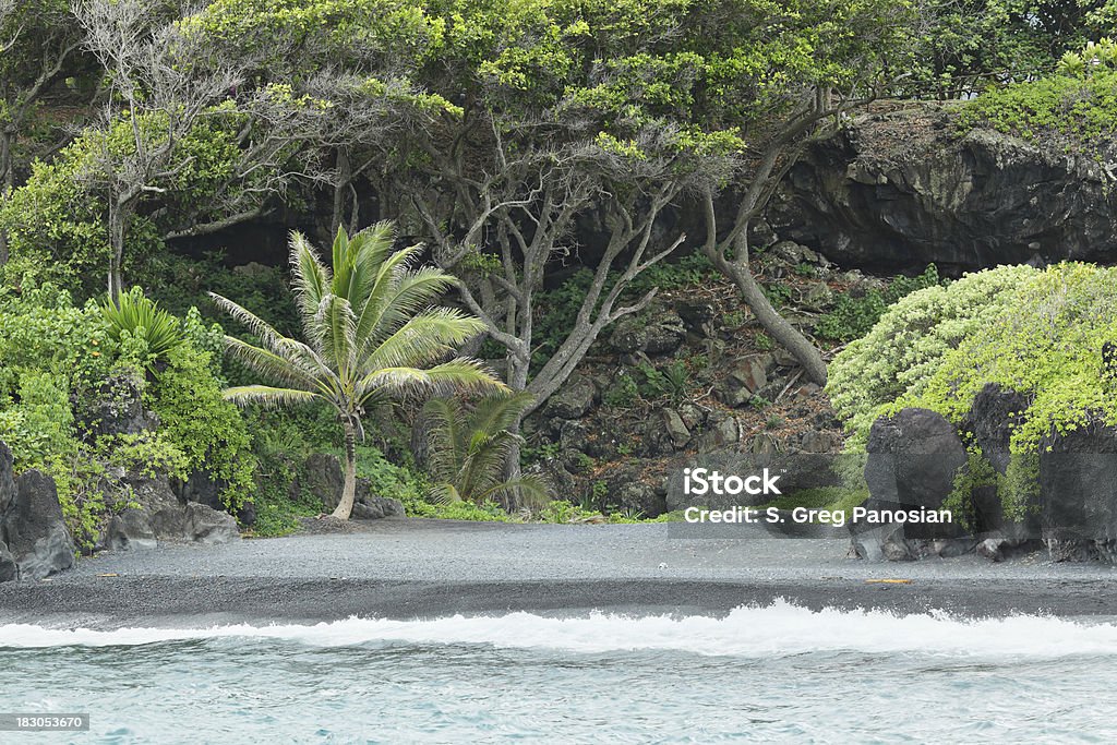 Plage de sable noir de Maui - Photo de Baie de Pailoa libre de droits