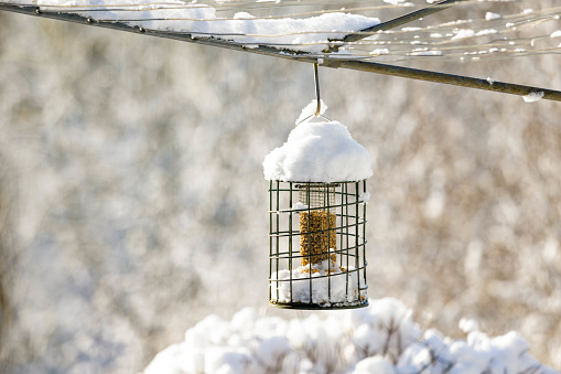 An image of a snow-covered suspended peanut-filled bird feeder. It is hanging from a rotary washing line in the sunshine.