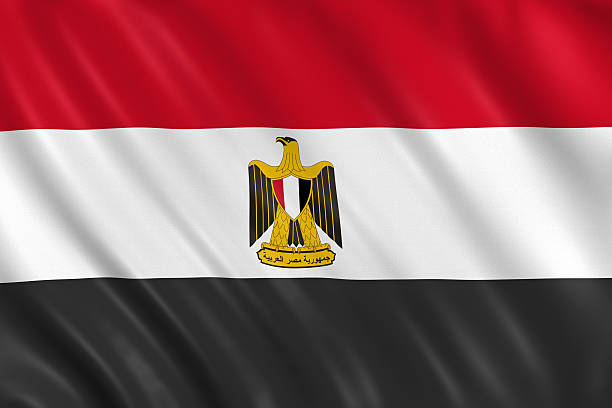flag of egypt waving with highly detailed textile texture pattern