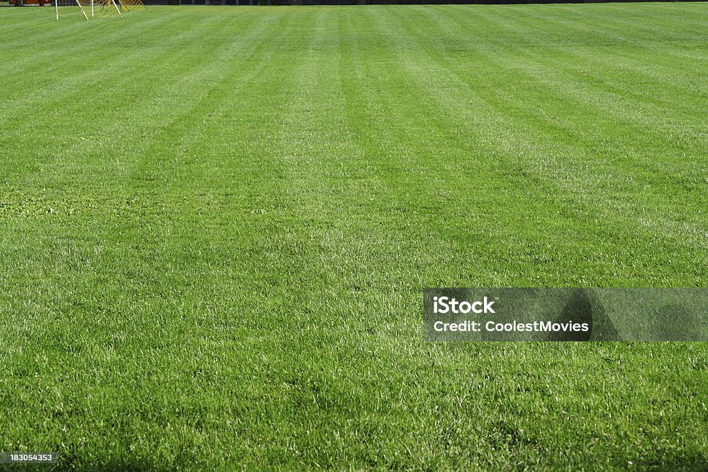 Big Green University Fußballplatz Lawn - Lizenzfrei Baum Stock-Foto