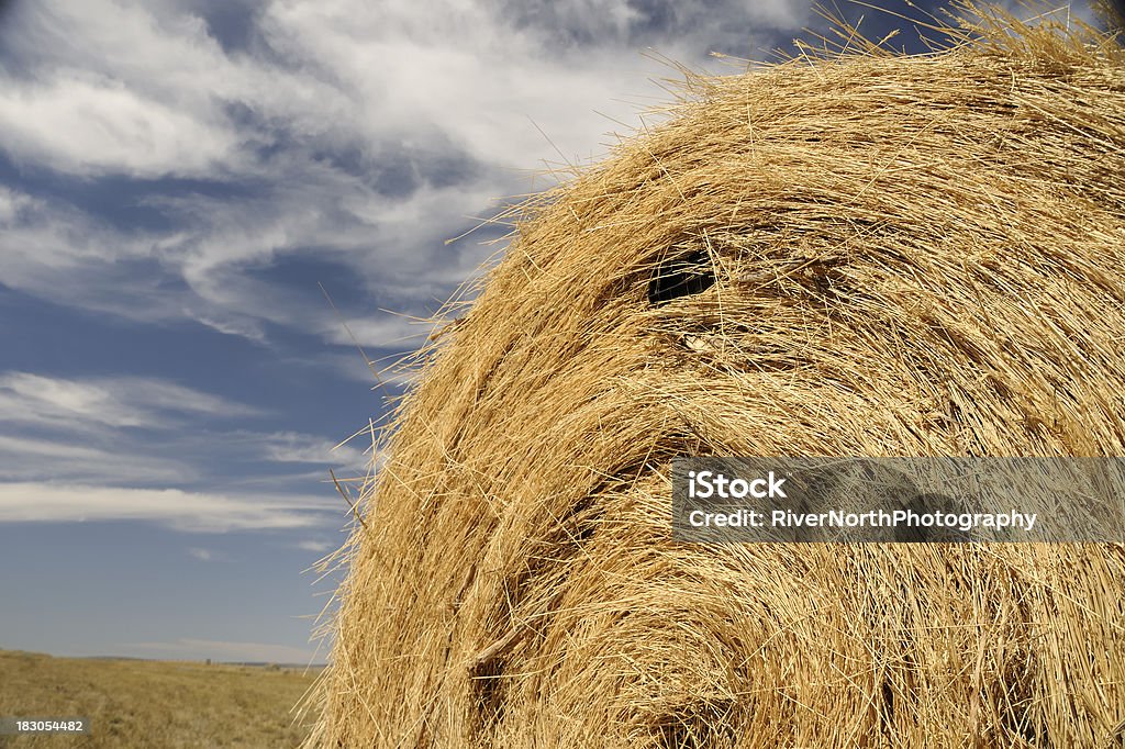 Bale von Hay - Lizenzfrei Agrarbetrieb Stock-Foto