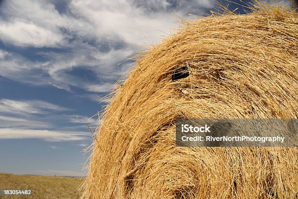 Bale Z Hay - zdjęcia stockowe i więcej obrazów Balot - Balot, Bez ludzi, Chmura