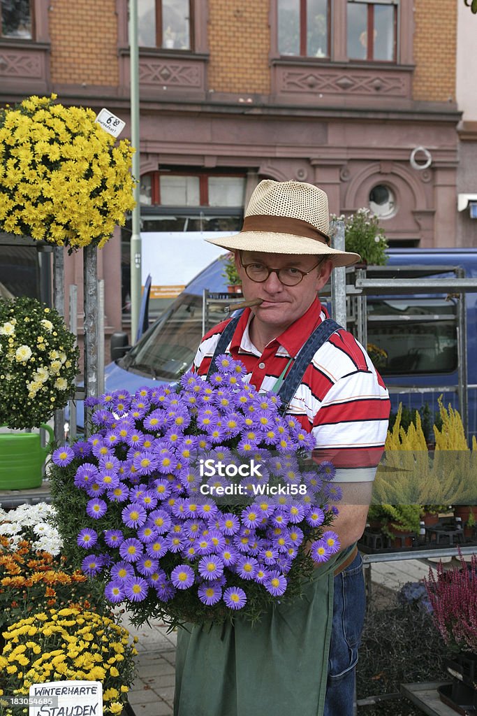 Sprzedaż kwiatów Pride - Zbiór zdjęć royalty-free (Aster)