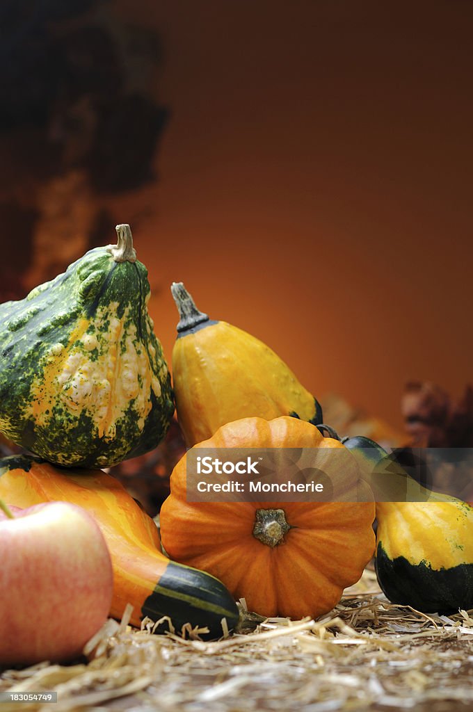 Decoração de Outono - Royalty-free Abóbora Foto de stock