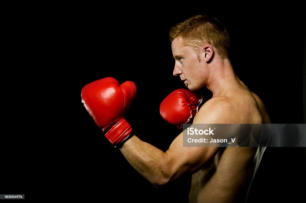 Boxer profil - Photo de Adulte libre de droits