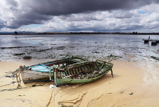 istock Old Boats on the Tagus River at Low Tide 183055313
