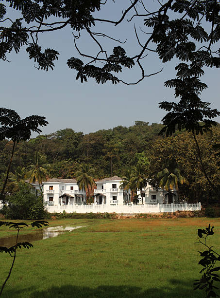 istock Goa resort in Jungle 183055519