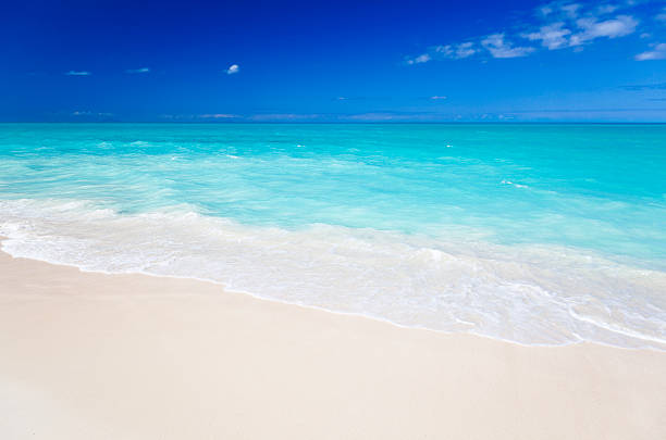 istock Clean White Caribbean Beach With Blue Sky 183055939