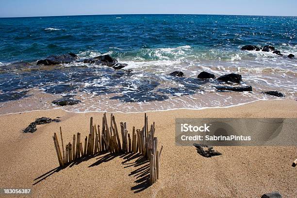 Dziki Beach - zdjęcia stockowe i więcej obrazów Bez ludzi - Bez ludzi, Brzeg rzeki, Brzeg wody