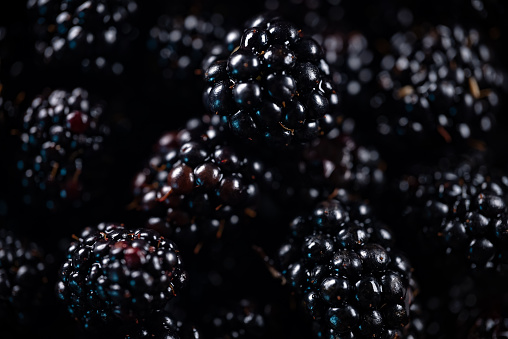 Lot of shiny fresh ripe blackberries.