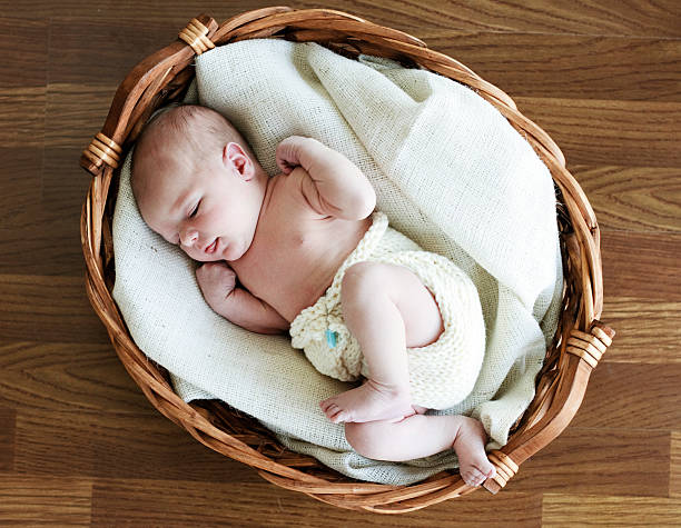 istock Newborn Baby in a Basket 183056528