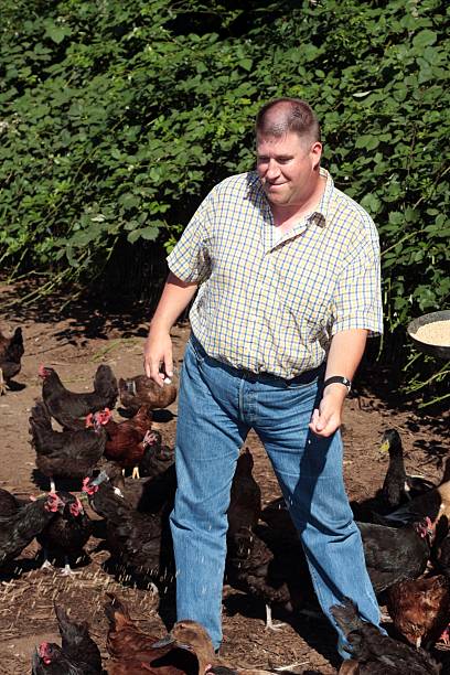 istock Farmer Feeding his Chickens and Ducks 183056601
