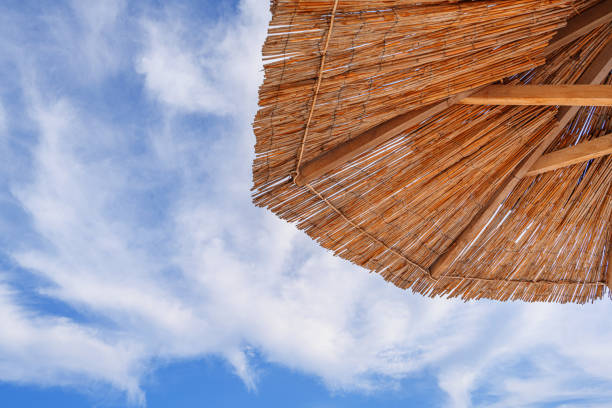 Straw umbrellas with sunbeds on the beach. Straw umbrellas and stacked deck chairs on the beach at sunset or sunrise.