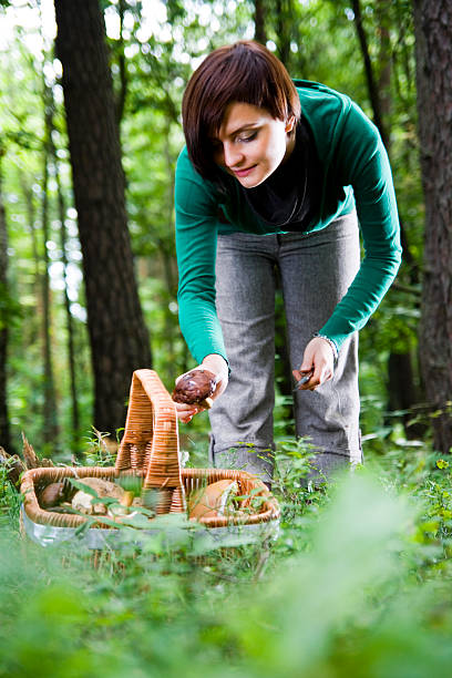 istock Young woman picking mushrooms 183057489