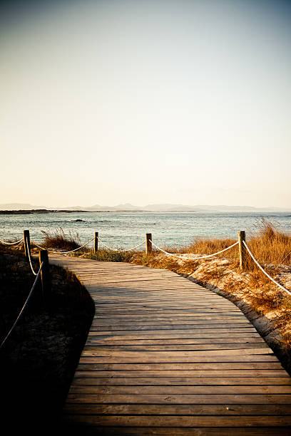 istock Wooden footpath on Formentera beach 183057570