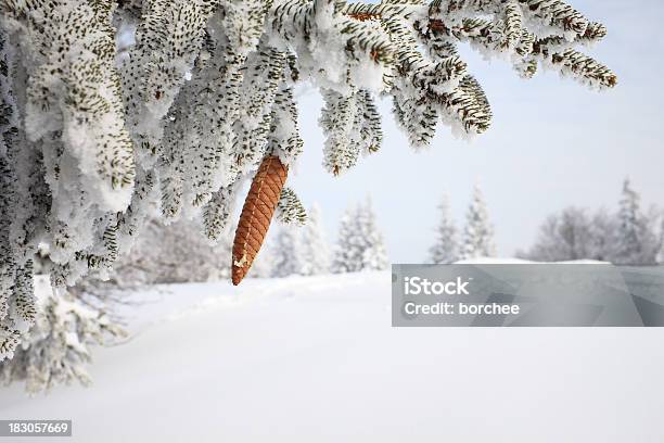 Winter Baum Mit Schnee Bedeckt Stockfoto und mehr Bilder von Abgeschiedenheit - Abgeschiedenheit, Arktis, Ast - Pflanzenbestandteil