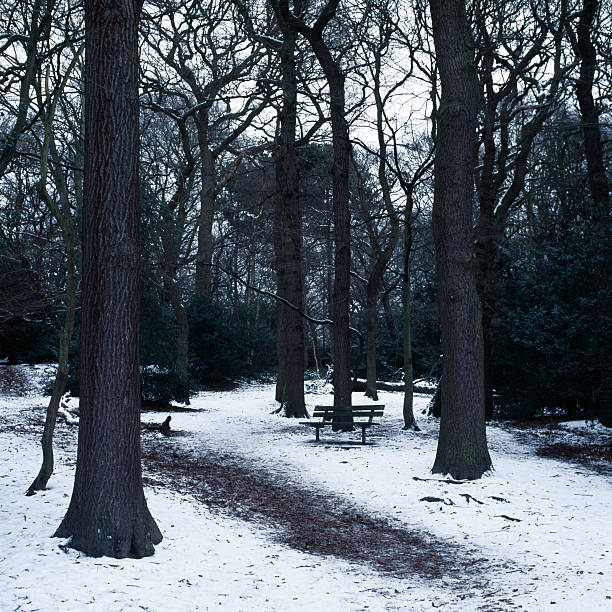 Wimbledon Common in Snow "Camera: HasselbladFilm: ProviaLocation: Wimbledon, London, UKWimbledon Common, frozen over and covered in snow on a dark winters days." wimbledon seats stock pictures, royalty-free photos & images