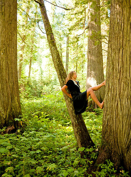 bela jovem mulher a fazer alongamentos em uma árvore - cedar tree tree montana woods imagens e fotografias de stock