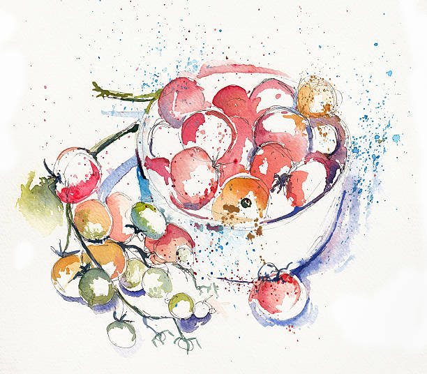 ilustrações, clipart, desenhos animados e ícones de tigela de tomates - cherry tomato tomato white background vegetable