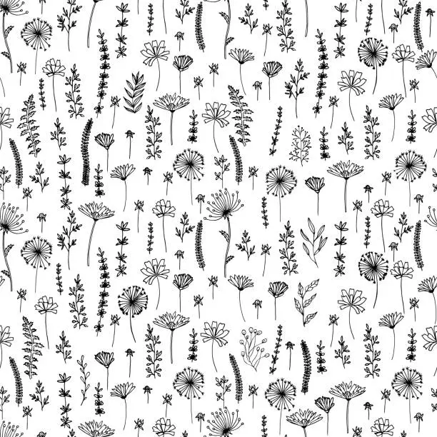 Vector illustration of Seamless flowers pattern. Hand drawn outline stroke. Floral and Nature theme. Vector illustration. Black sketch flowers.