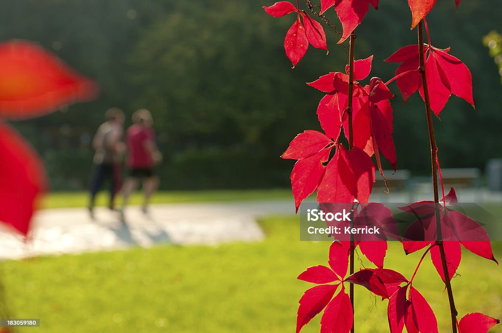 Rotwein leafs in Herbst-Verschwommene jogging Personen - Lizenzfrei Joggen Stock-Foto