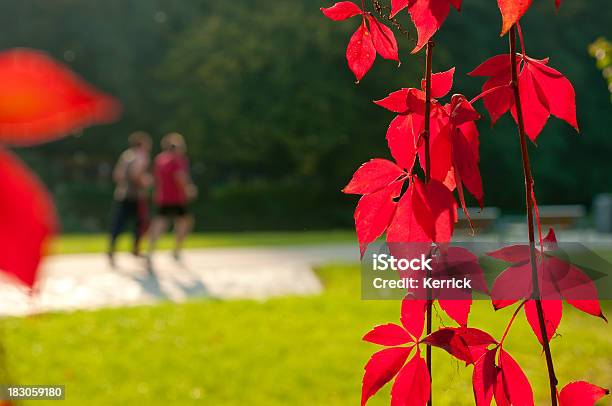 Rotwein Leafs In Herbstverschwommene Jogging Personen Stockfoto und mehr Bilder von Joggen