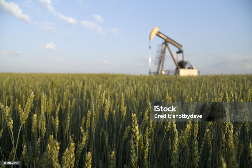 Pumpjack in einem Feld - Lizenzfrei Erdöl Stock-Foto