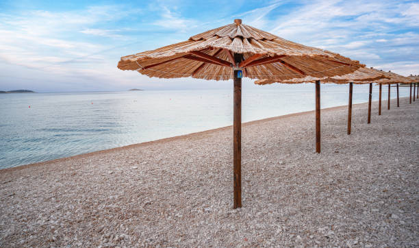 istock Straw umbrellas with sunbeds on the beach 1830601442