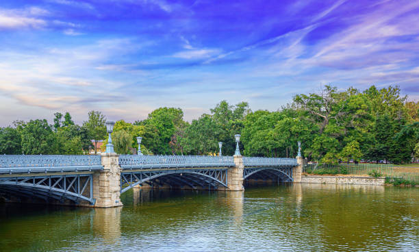 View of the Zielinski Bridge in Budapest. Hungary