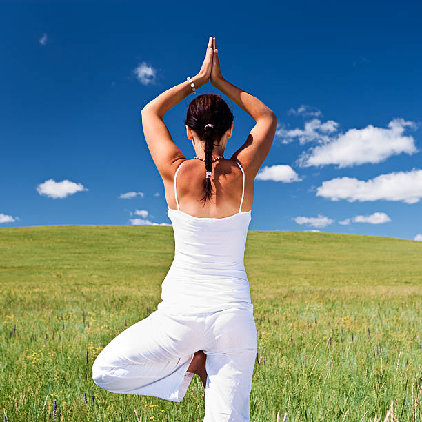 istock Young woman practicing yoga on the meadow 183060516