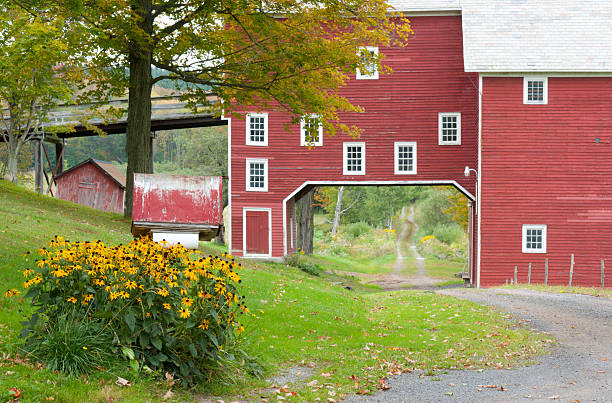 レッドバーンを road - barn red old door ストックフォトと画像