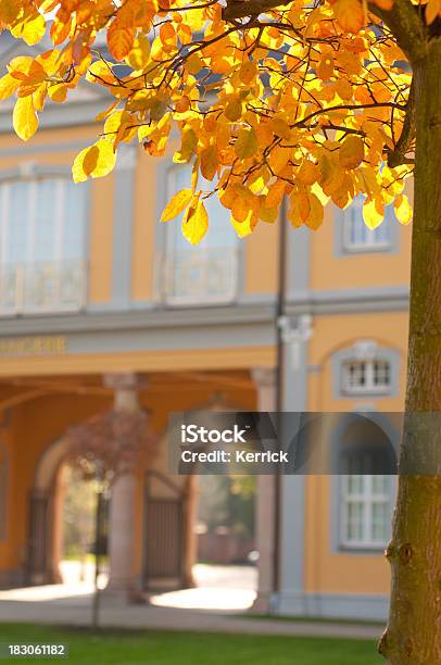 Gelbe Leafs In Der Historischen Orangerie Gera Stockfoto und mehr Bilder von Architektonisches Detail - Architektonisches Detail, Baum, Blatt - Pflanzenbestandteile