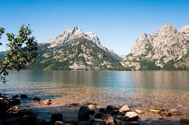 Photo of Jenny Lake