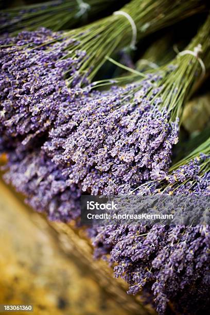 Lavanda - Fotografias de stock e mais imagens de Bouquet - Bouquet, Cor de Lavanda, Lavanda - Planta