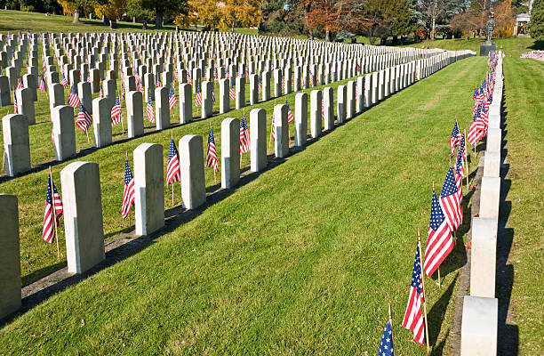 istock Veterans' Day in USA 183061588