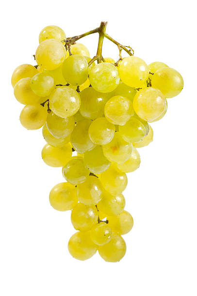 istock Isolated bunch of grapes on white 183061845